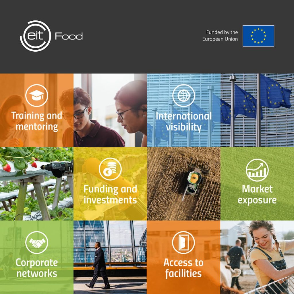 eit business creation 1