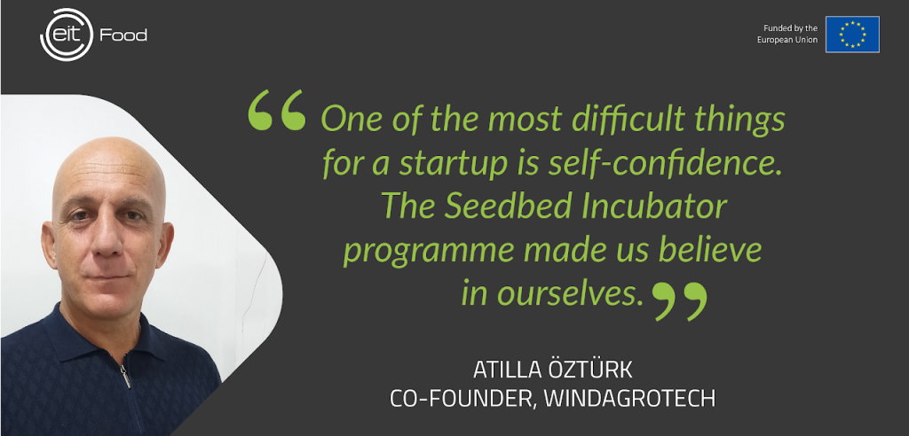 seedbed 2