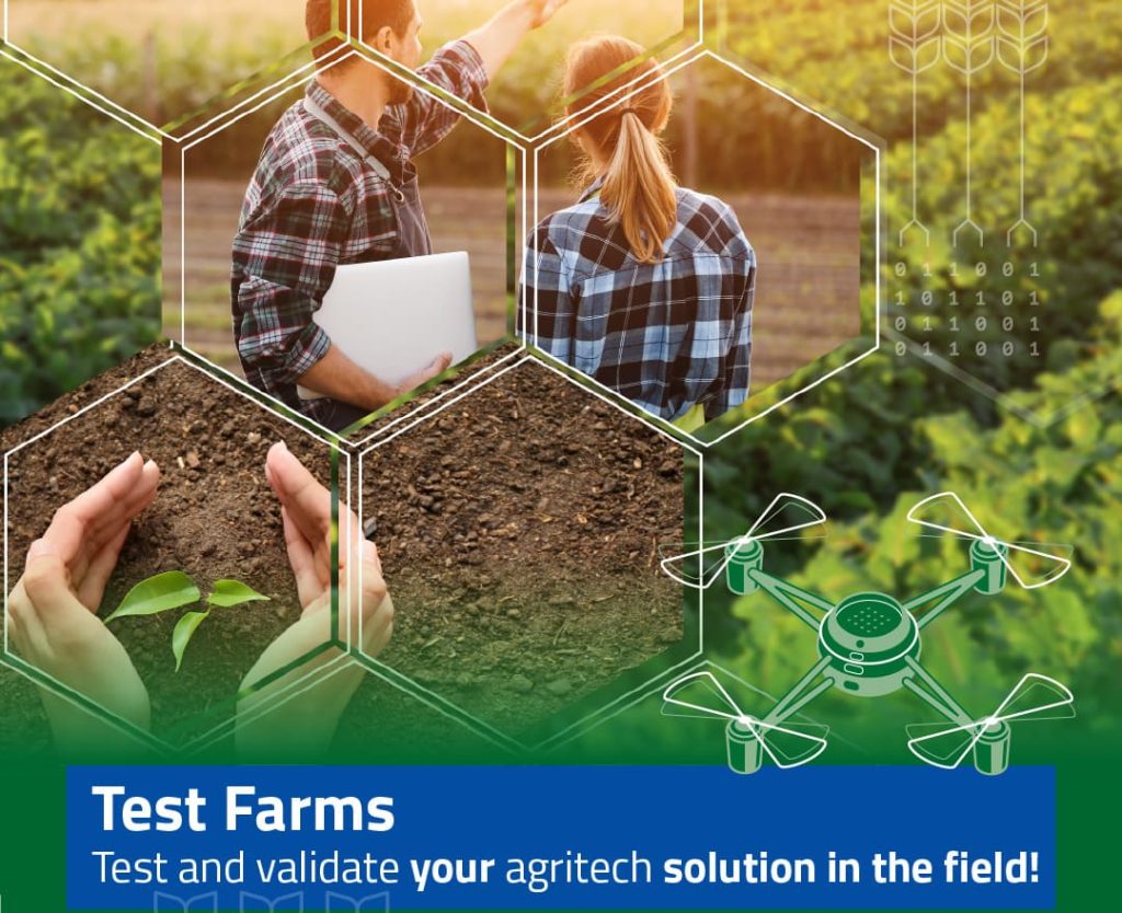 test farms 2024